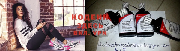 Альфа ПВП Ивангород