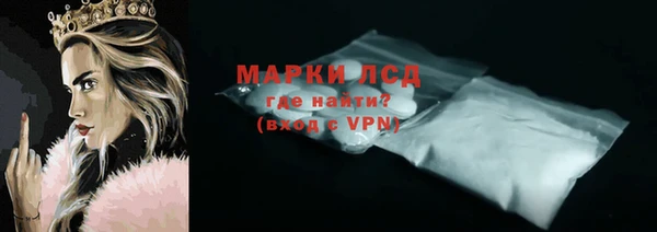 сатива Новокубанск