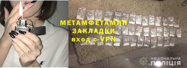 сатива Новокубанск