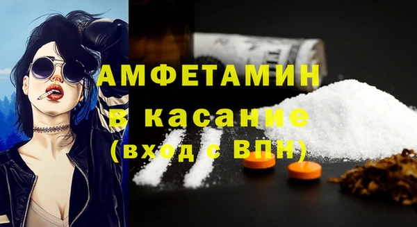 сатива Новокубанск